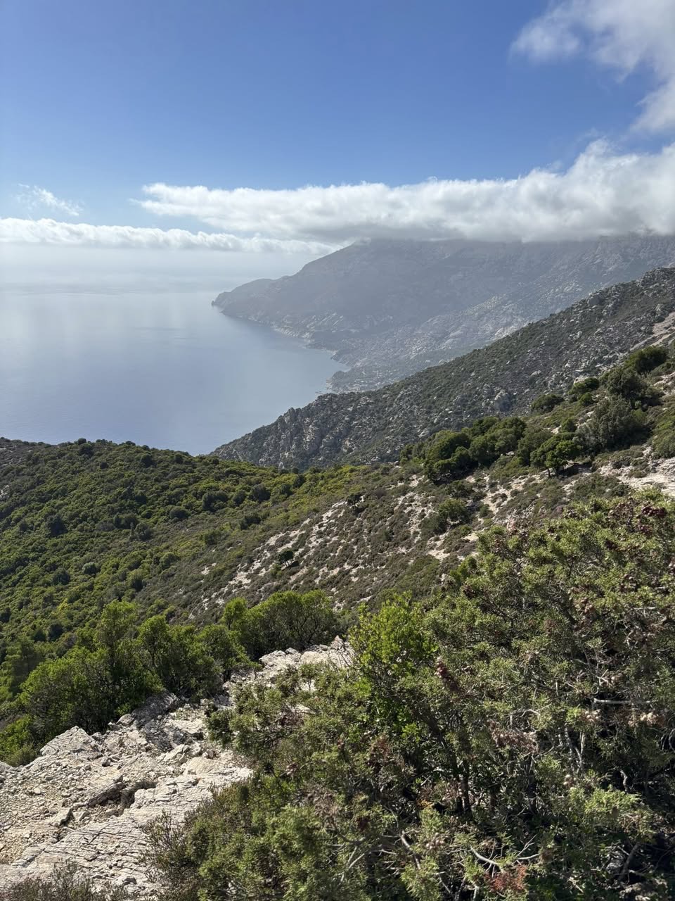 Earth, Sea, & Self — photo 4