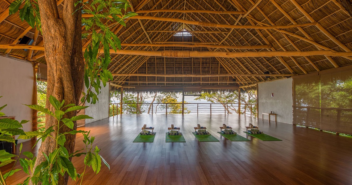 Earth, Sea, and Self — photo 5